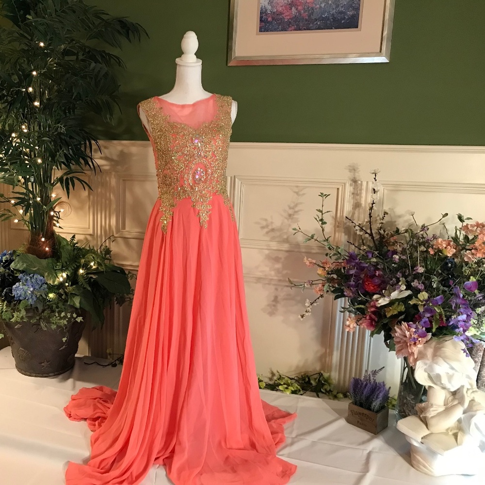 Coral pink chiffon with gold embroidered appliqué top dress